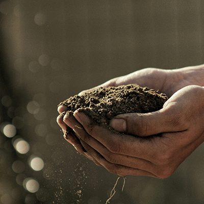 hands-holding-soil-from-the-ground